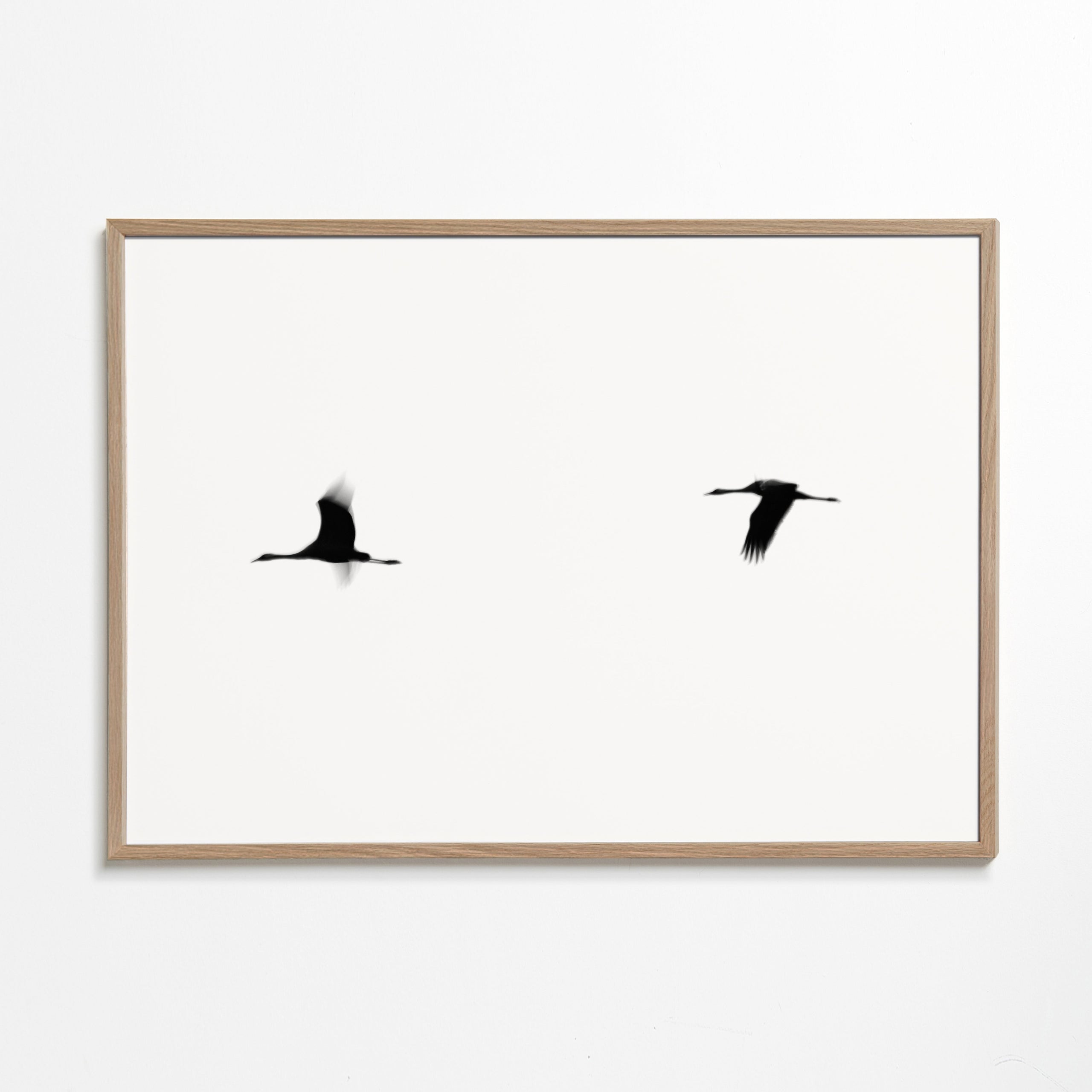 Kunstwerk kraanvogels in vlucht