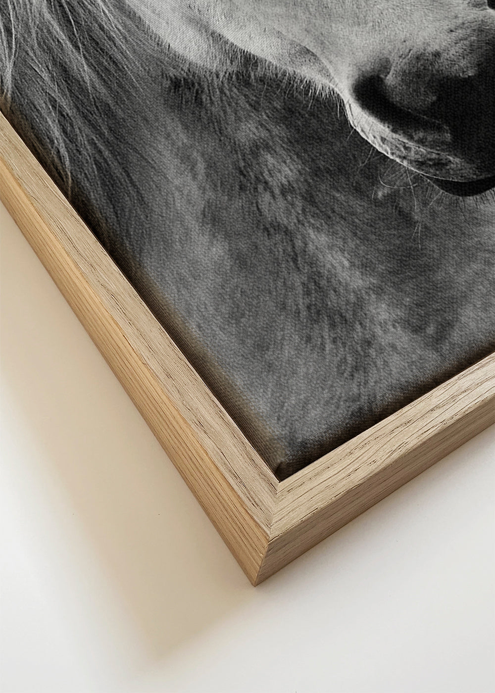 Kunstwerk twee paarden close-up