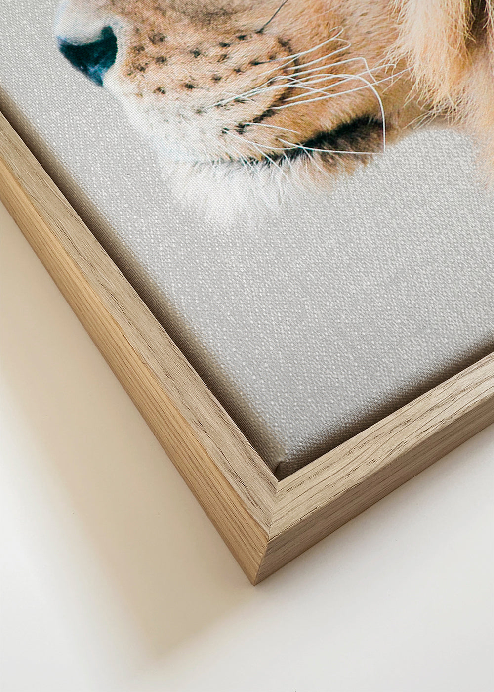 Dierenkunst leeuw portret