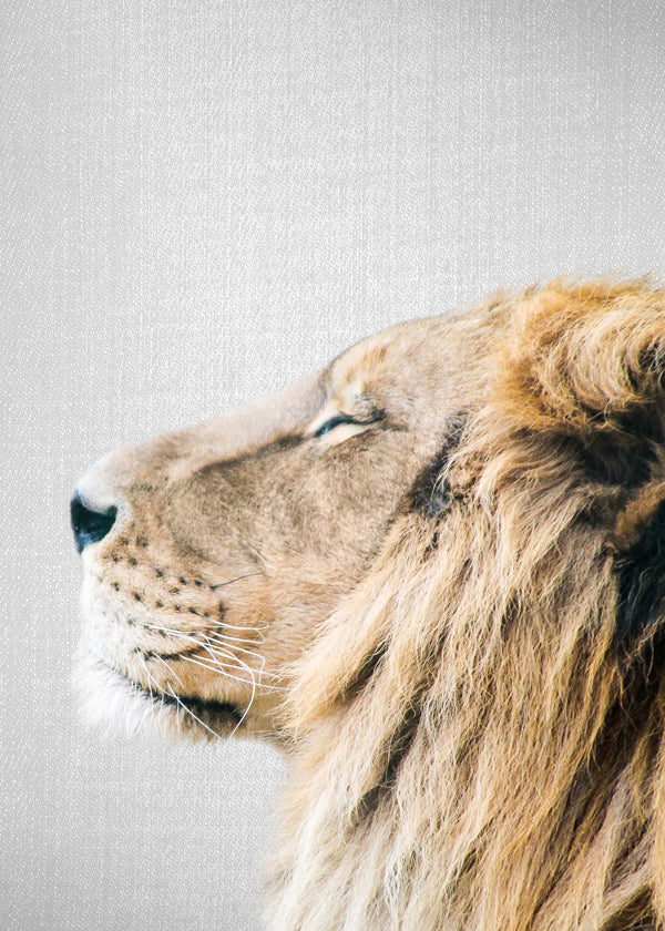 Dierenkunst leeuw portret