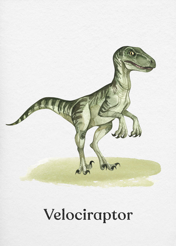Velociraptor illustratie voor kinderen
