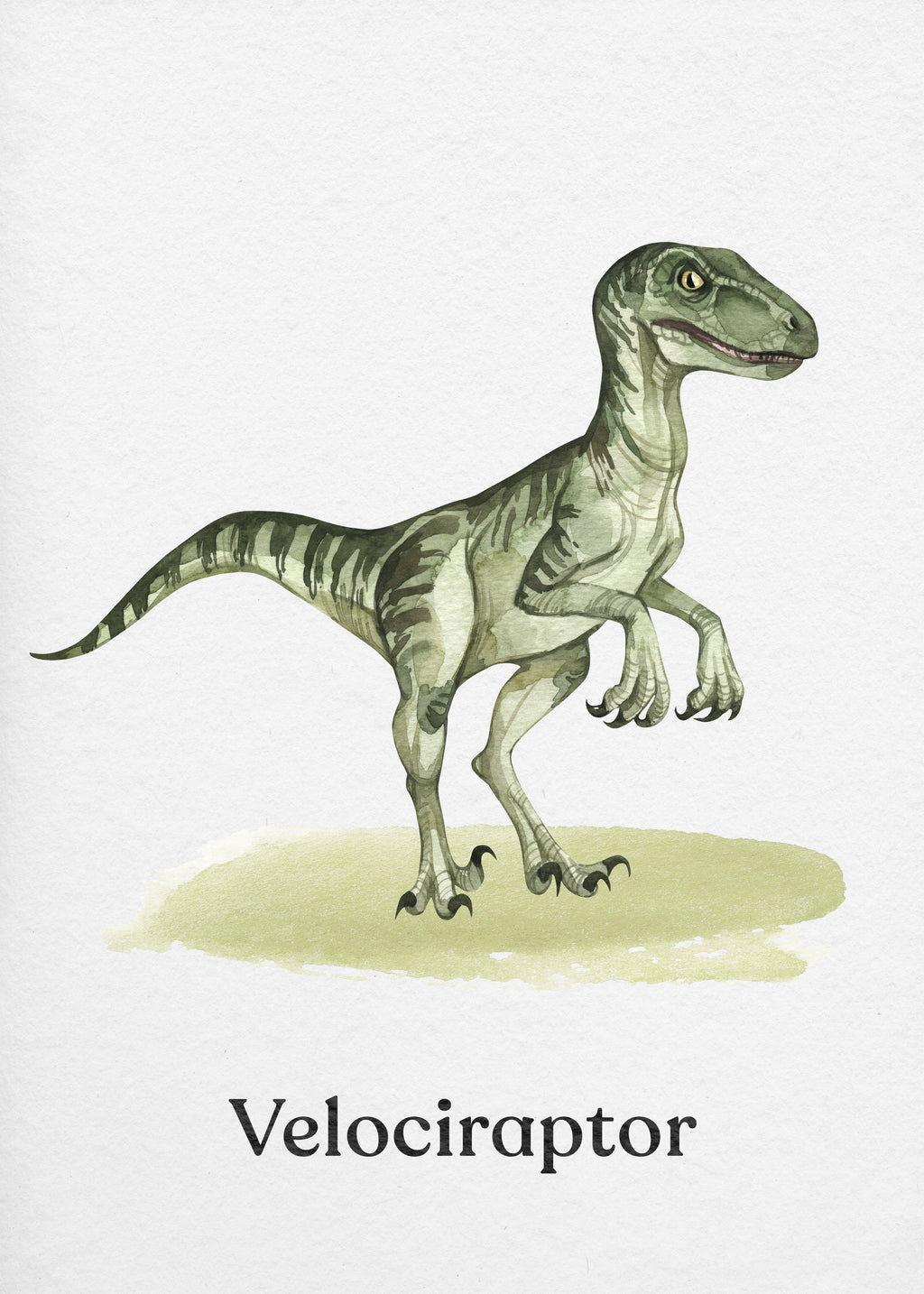 Velociraptor - Unframed art print