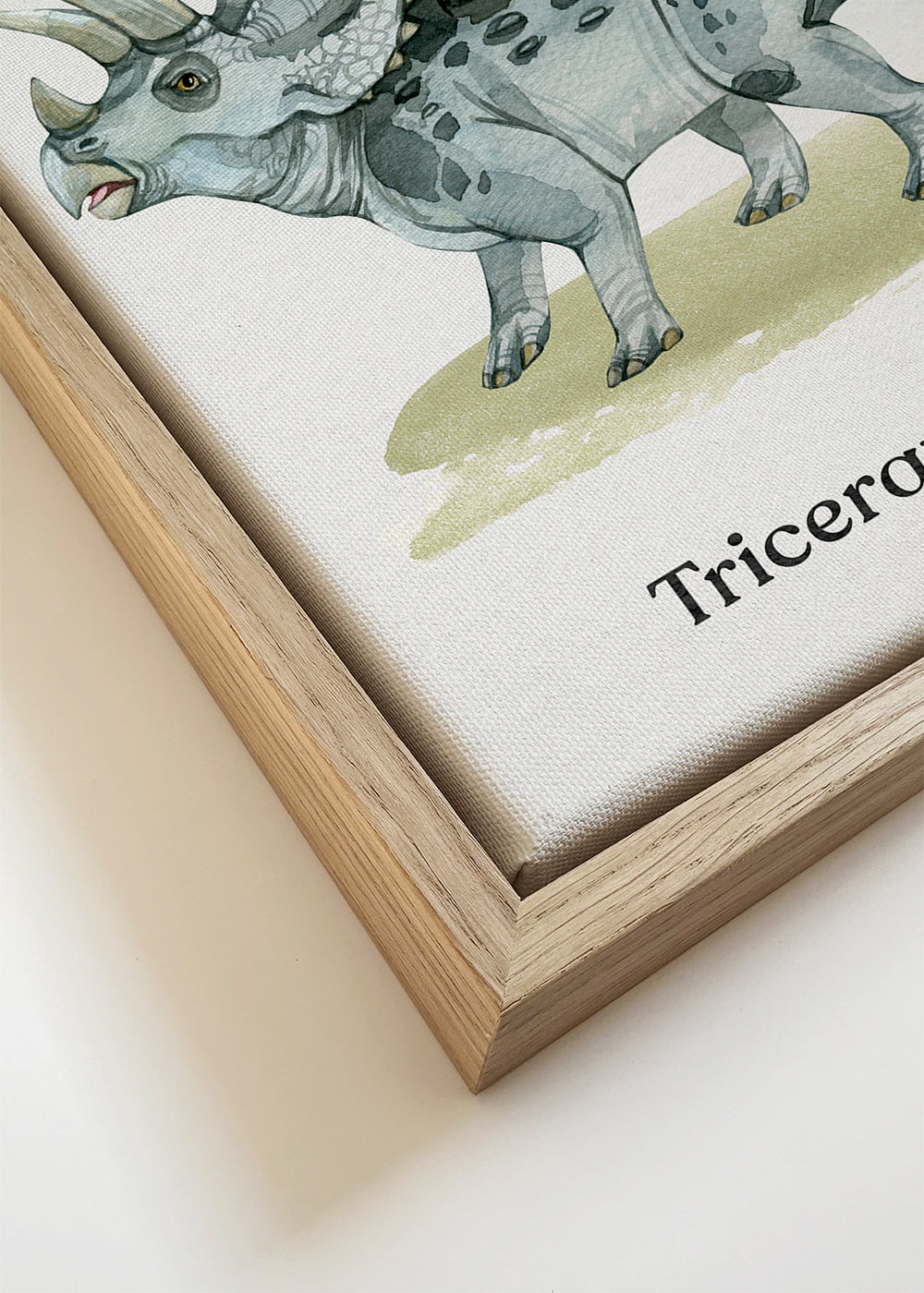 Artwork Triceratops aquarelillustratie