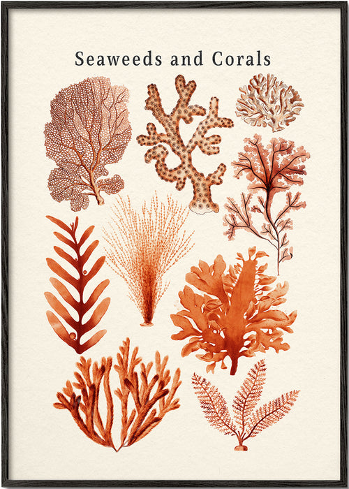 Botanische print: zeewieren en koralen studie