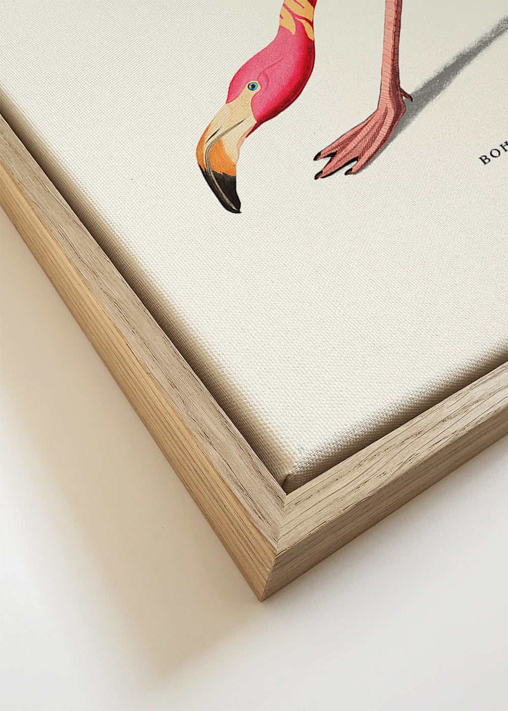 Boho flamingo illustratie
