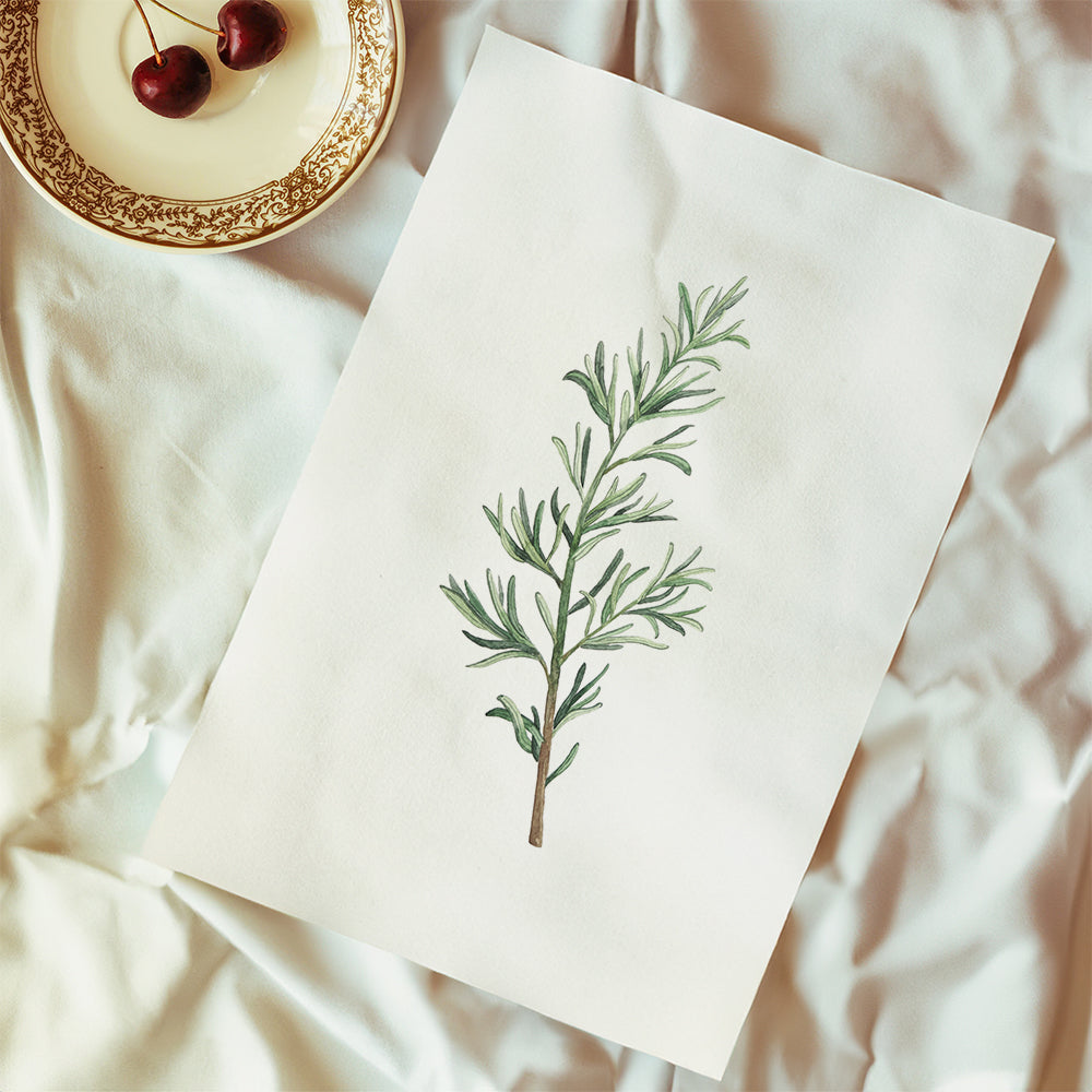 Botanische print: rozemarijn tak aquarel