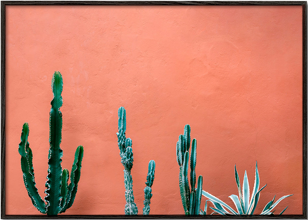 Botanische poster met cactussen op terracottawand – Black Frame