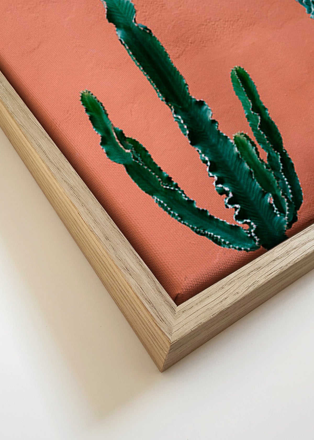 Botanische poster met cactussen op terracottawand – Canvas detail