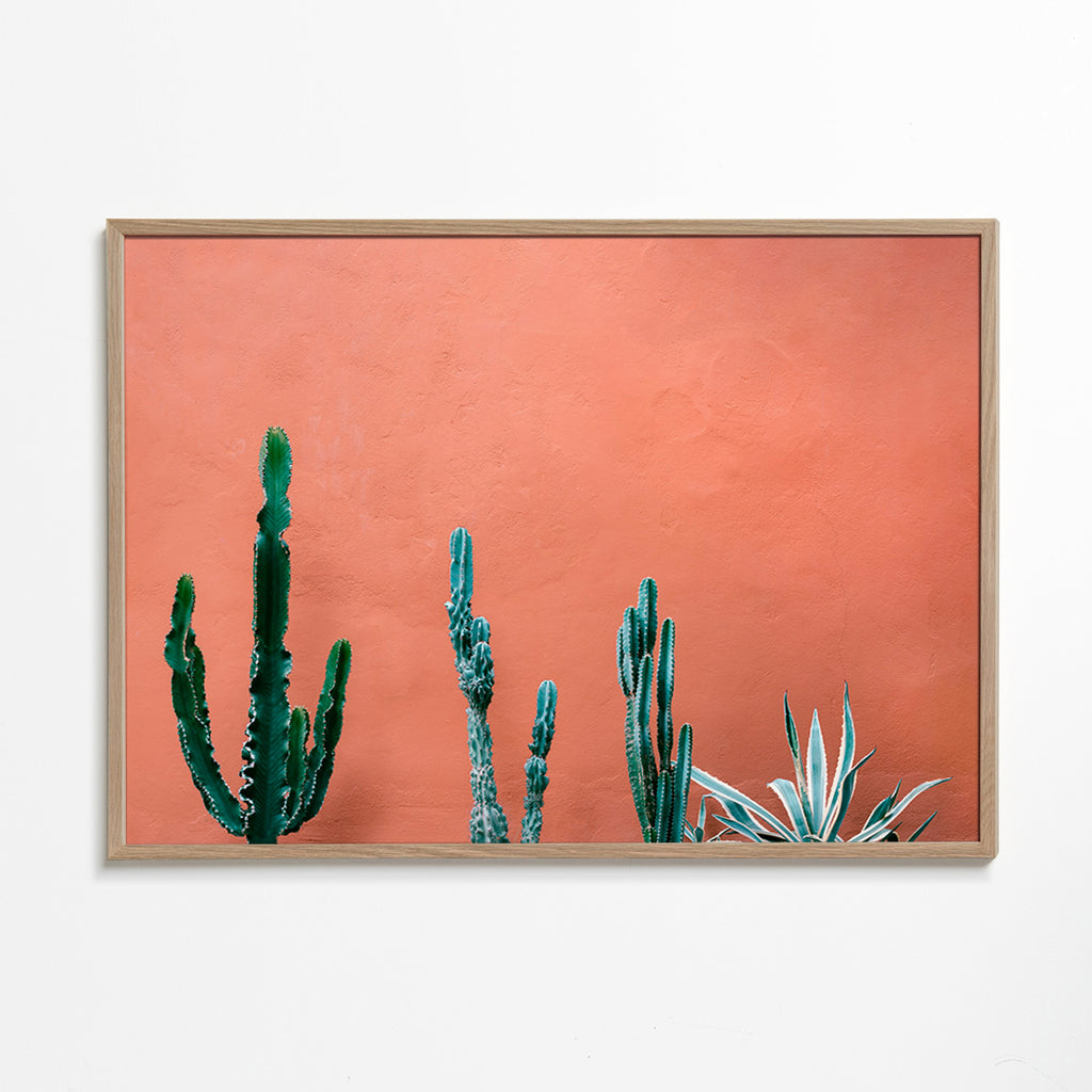 Botanische poster met cactussen op terracottawand – Oak Frame
