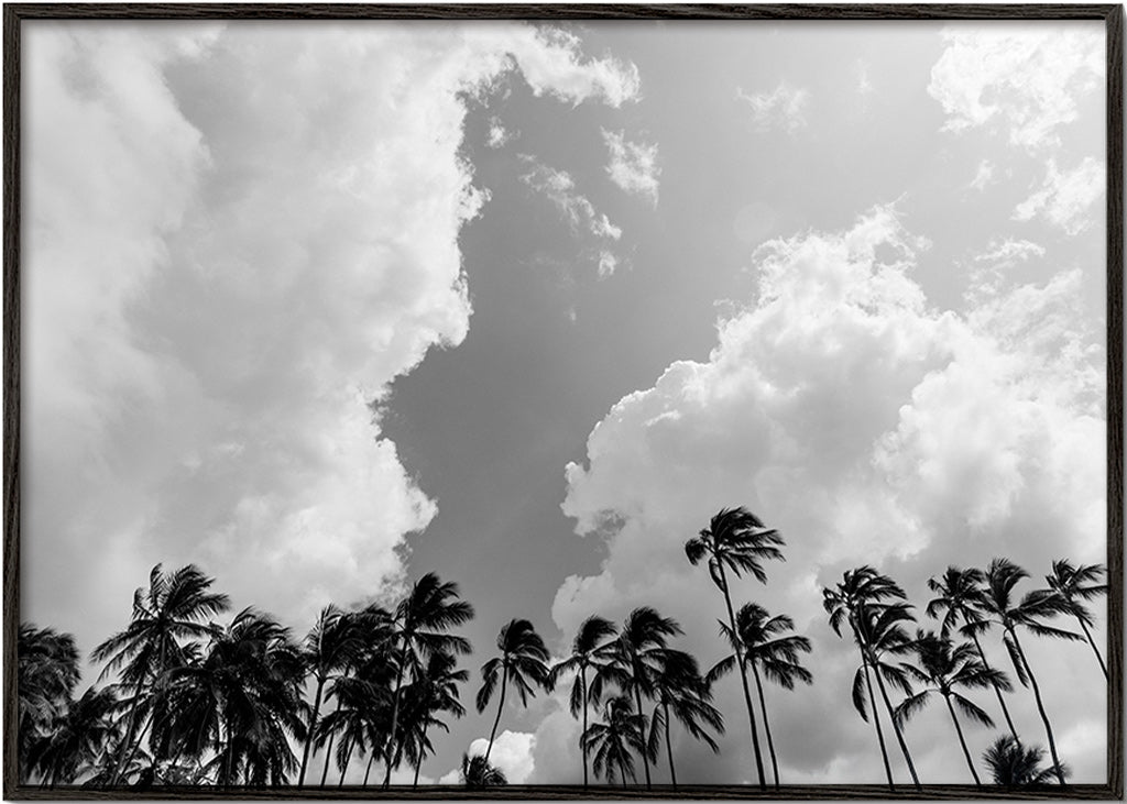 Landschap kunst met palmbomen en dramatische lucht – Black Frame