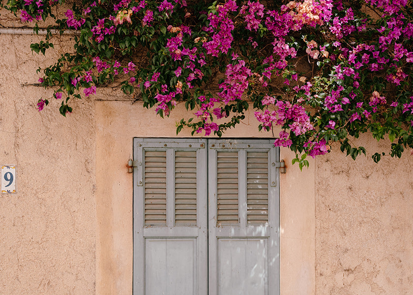 Botanische print: bougainvillea boven vintage deur
