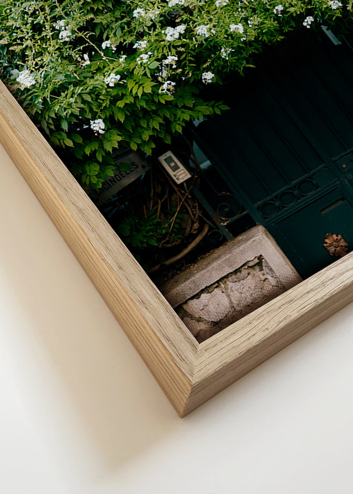Botanische print met witte klimop bij deur – Canvas detail