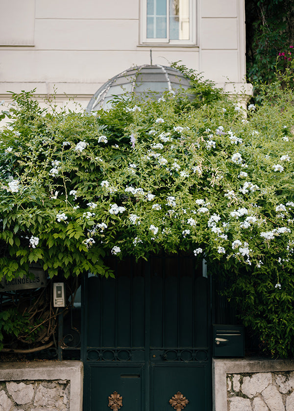 Botanische print met witte klimop bij deur