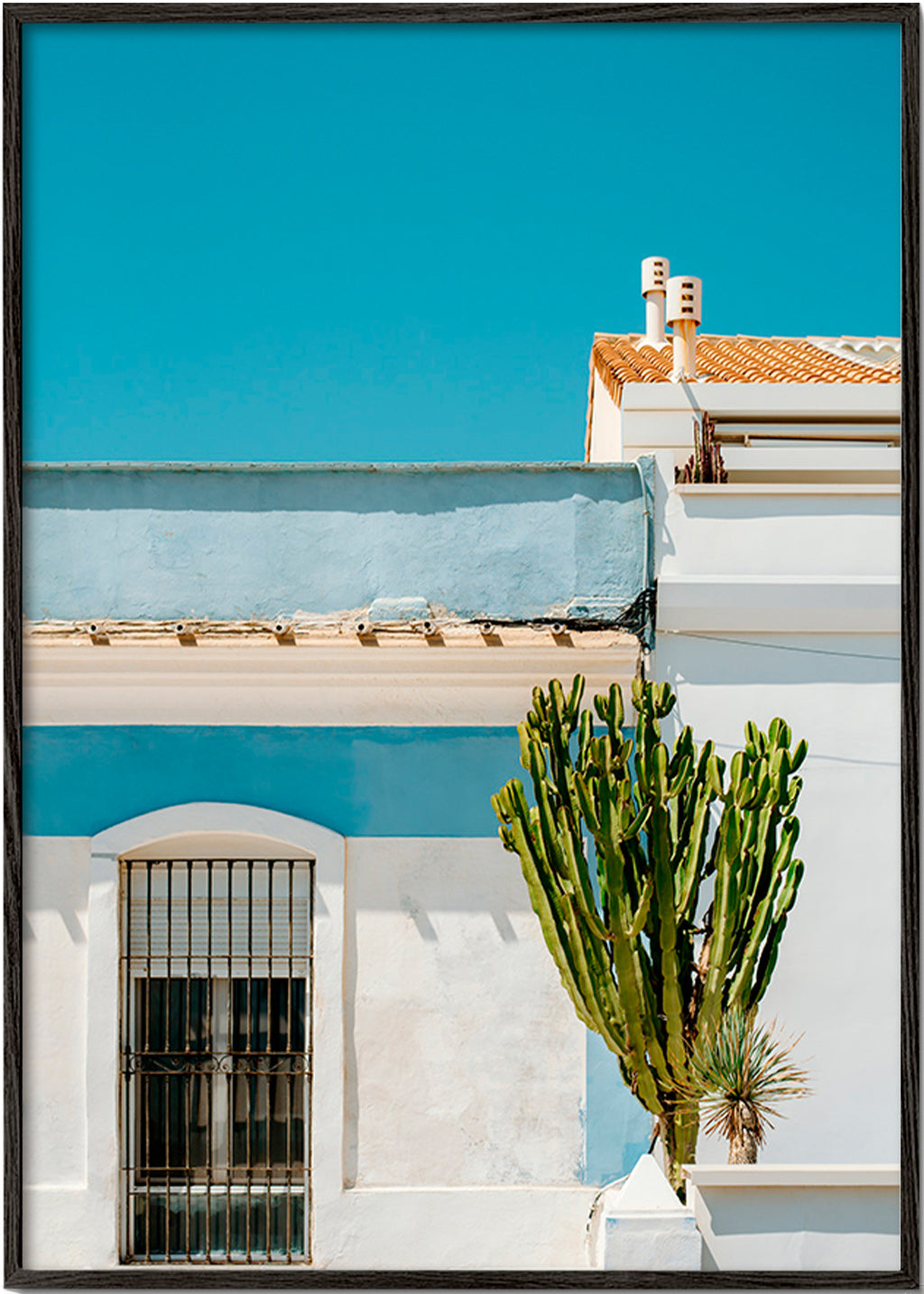 Botanische poster: mediterrane gevel met cactus – Black Frame