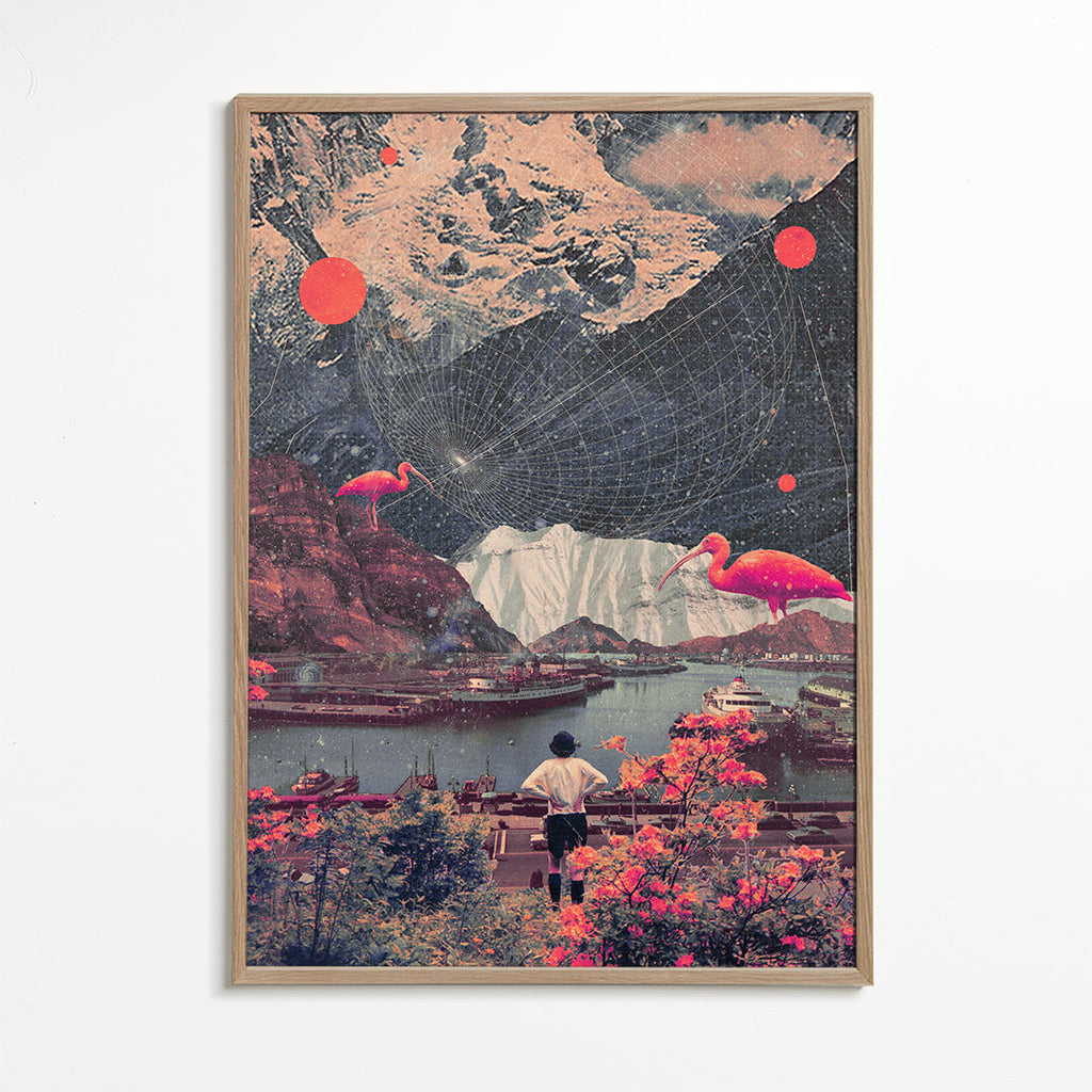 Droomhaven landschap met flamingo's