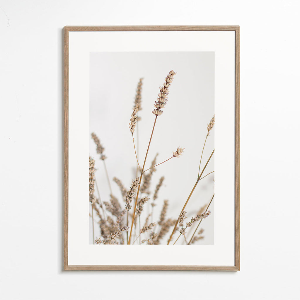 Botanische print: gedroogde aren verticaal