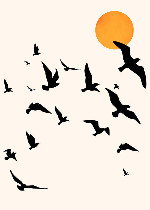 Vogelsilhouet in vlucht