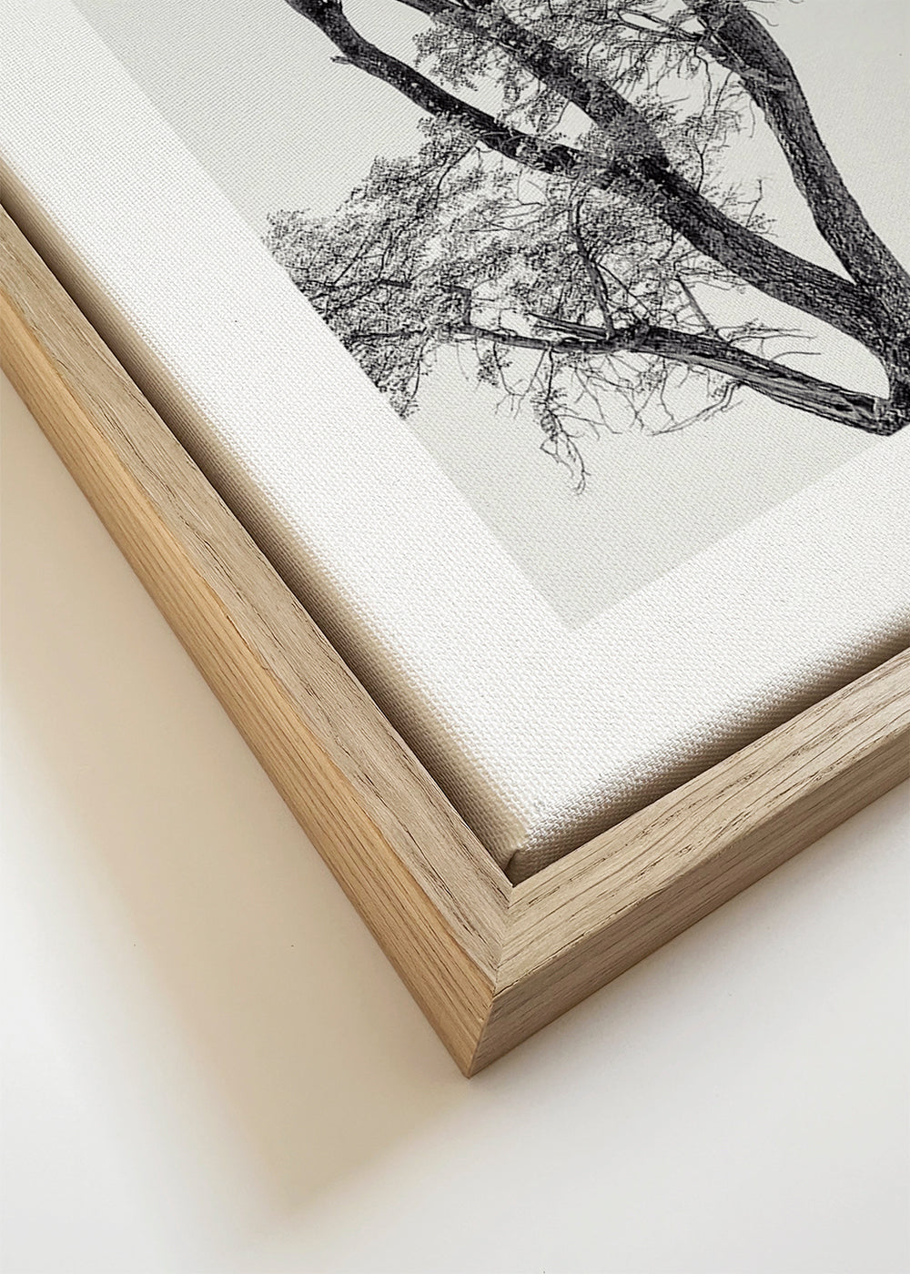 Botanische print: boom in zwart-wit