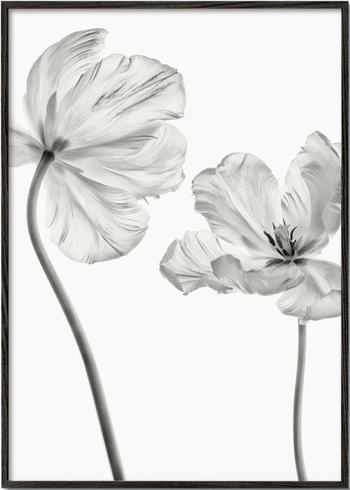 Botanische print: tulpen zwart-wit