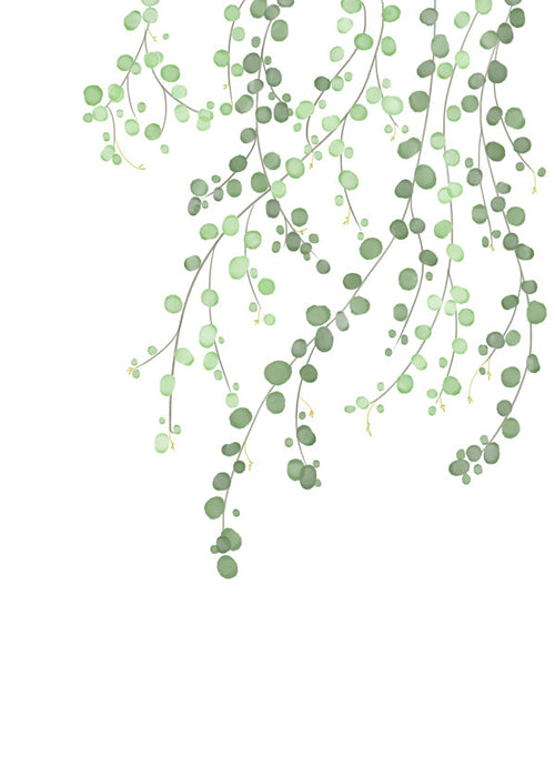 Botanische poster hangende takken