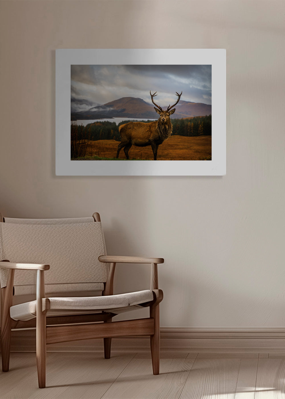 Dierenposter hert in de Schotse Hooglanden