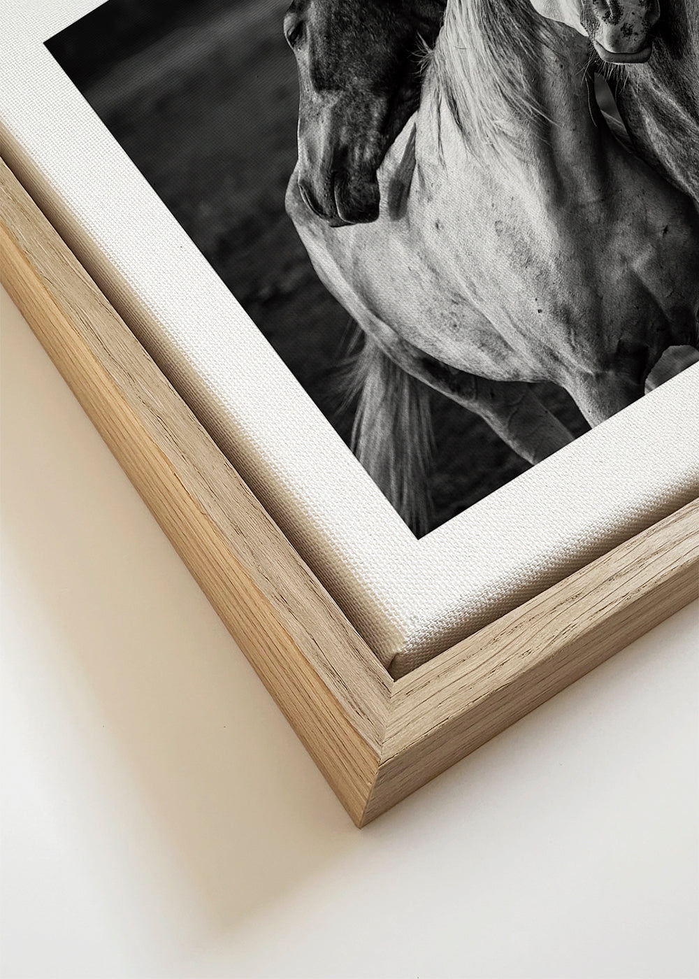 Paardenfoto met intieme houding