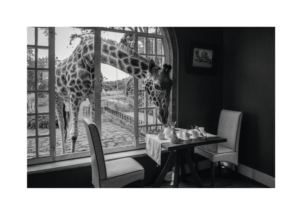 Breakfast time - Unframed art print