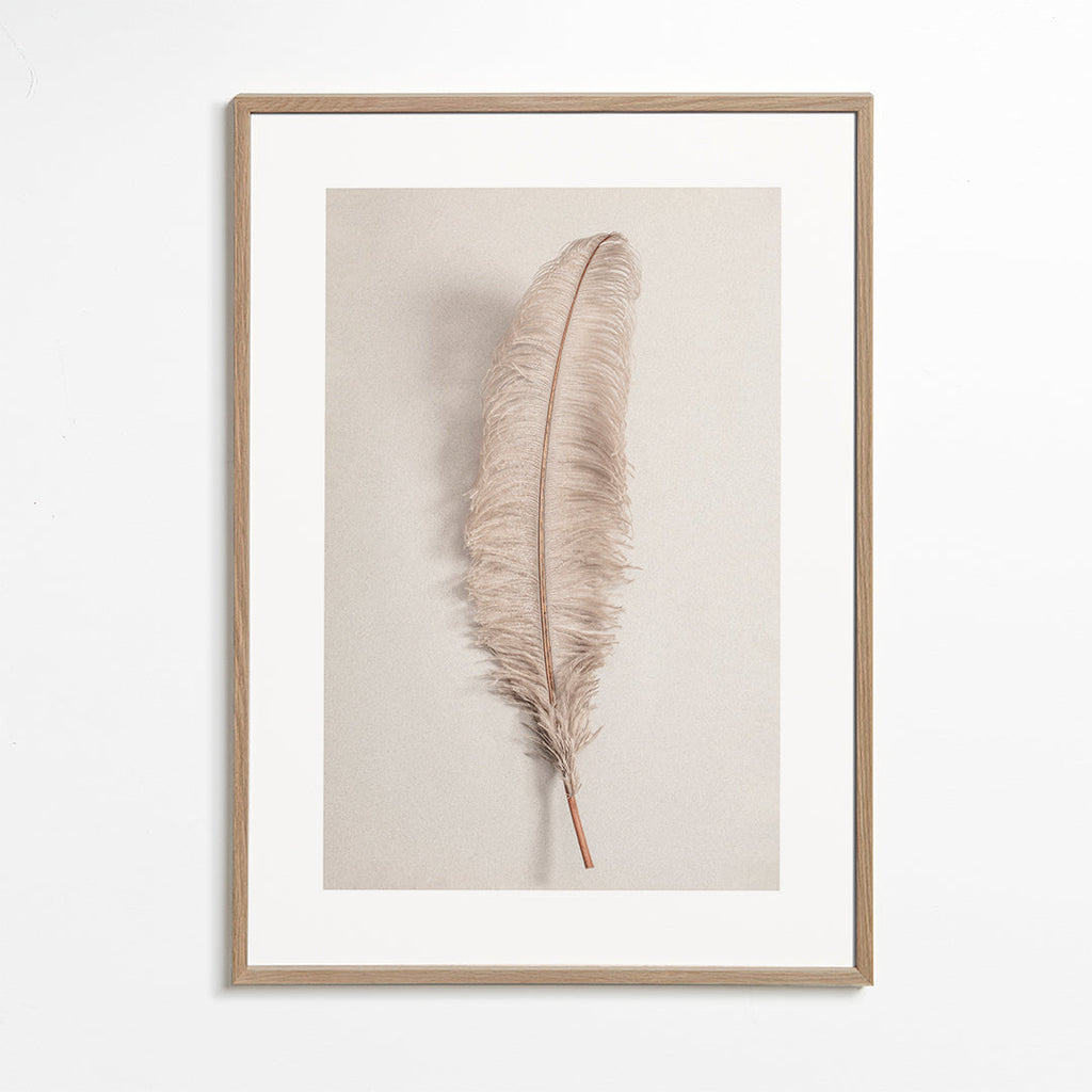 Feather II