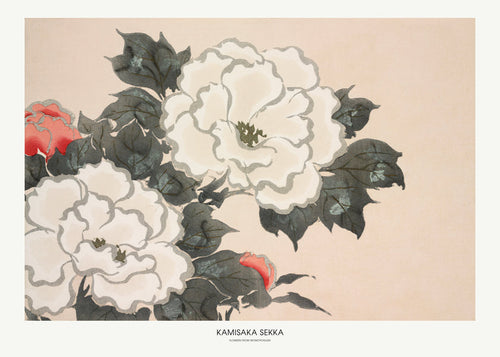 Botanische print: Japanse bloemenstudie