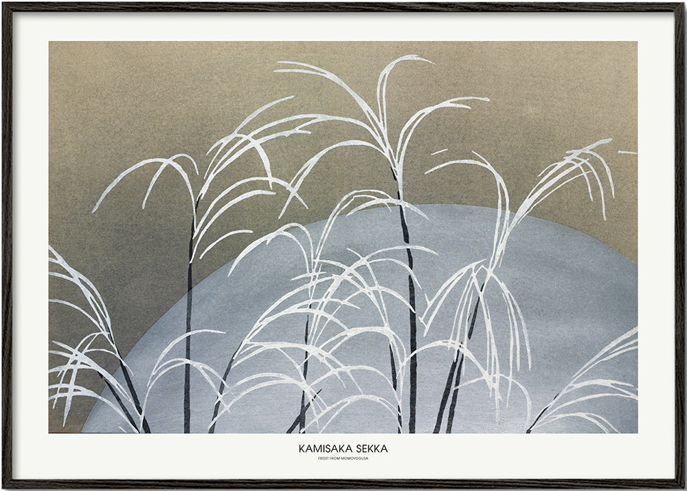 Frost From Momoyogusa