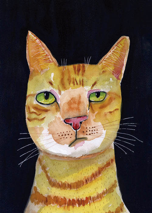 Portret van oranje kat