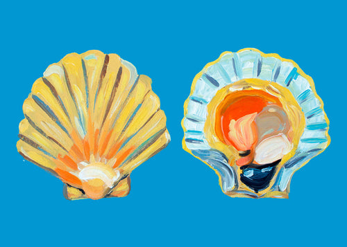 Illustratie met Sint-jakobsschelpen op blauwe achtergrond