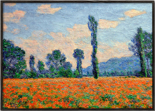 Landschap kunst met klaprozenveld