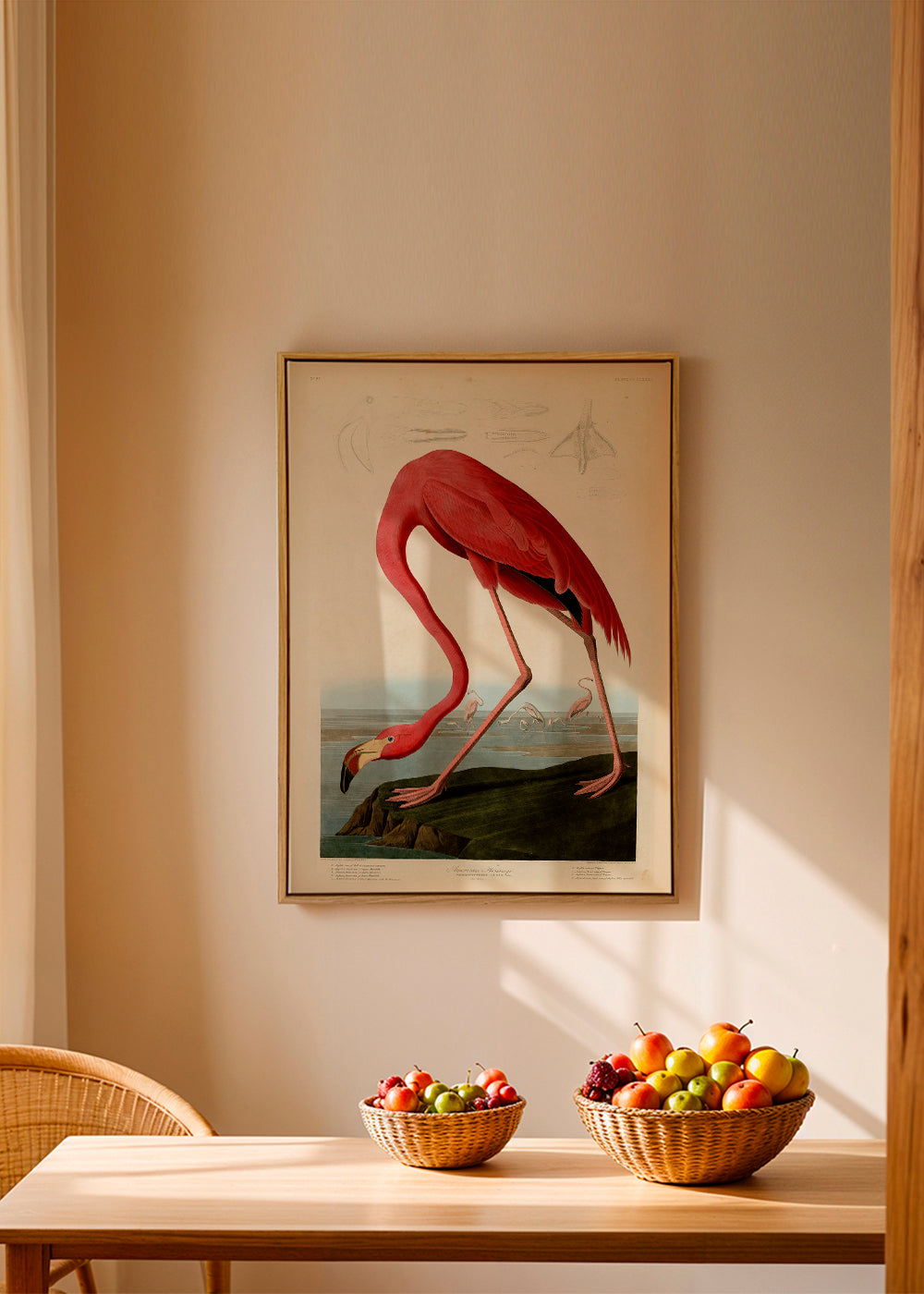 Kunstwerk flamingo Audubon stijl