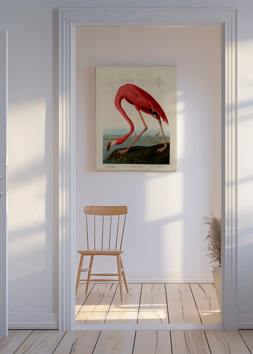Kunstwerk flamingo Audubon stijl