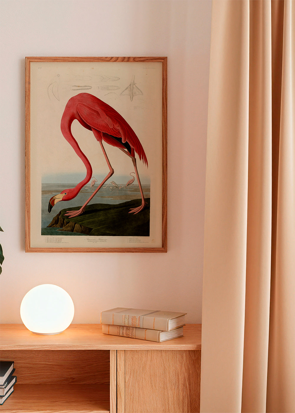 Kunstwerk flamingo Audubon stijl