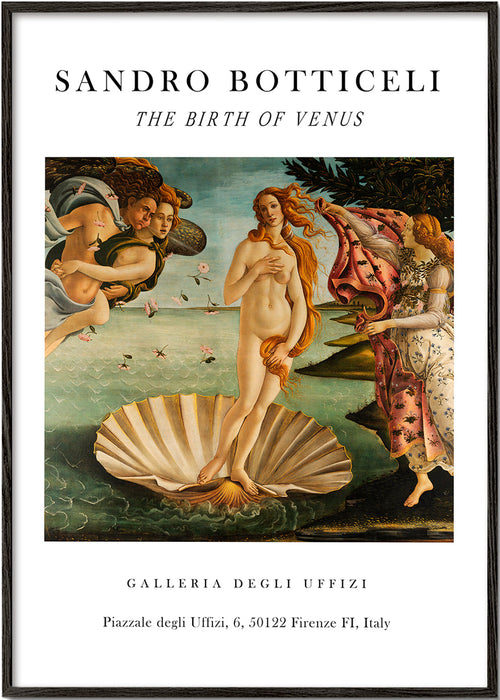 Klassieke Geboorte van Venus print van Botticelli