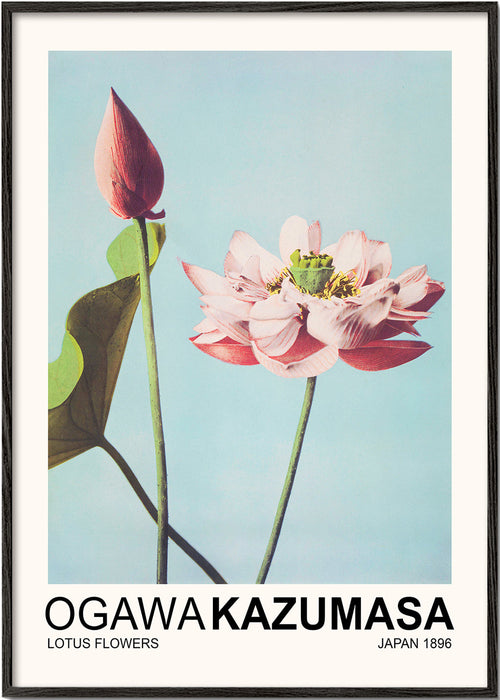 Botanische print: roze lotus op blauwe lucht