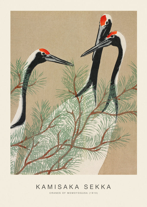 Cranes of Momoyogusa (Special Edition) - Kamisaka Sekka