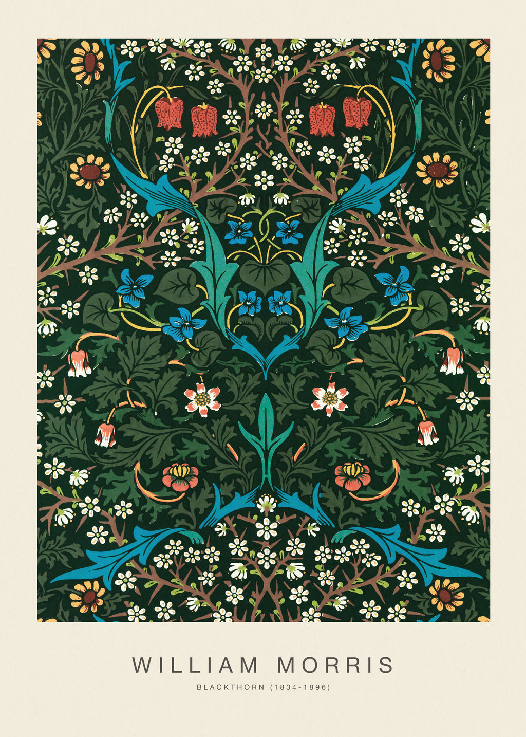 Blackthorn (Special Edition) - William Morris - Unframed art print