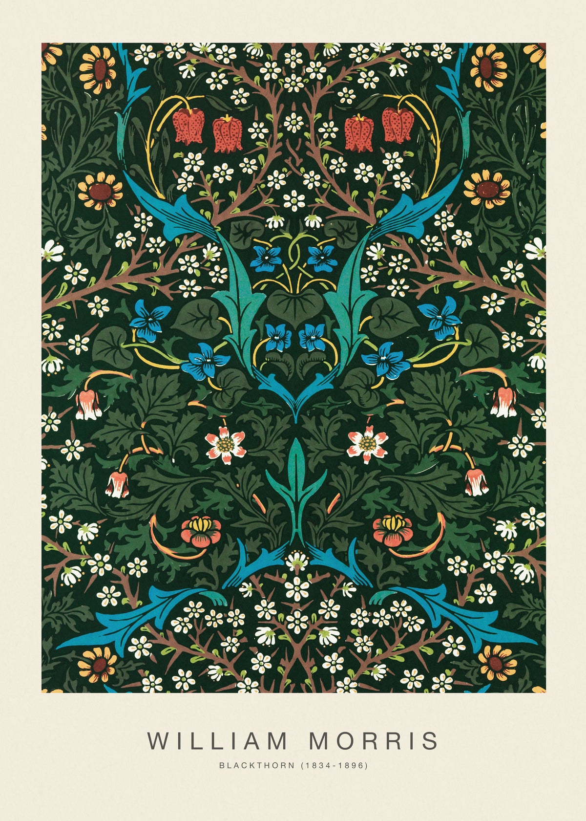 Blackthorn (Special Edition) - William Morris - Unframed art print
