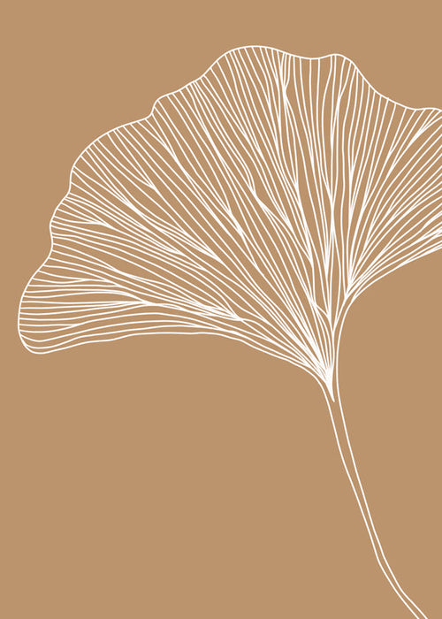 Botanische poster met ginkgo blad
