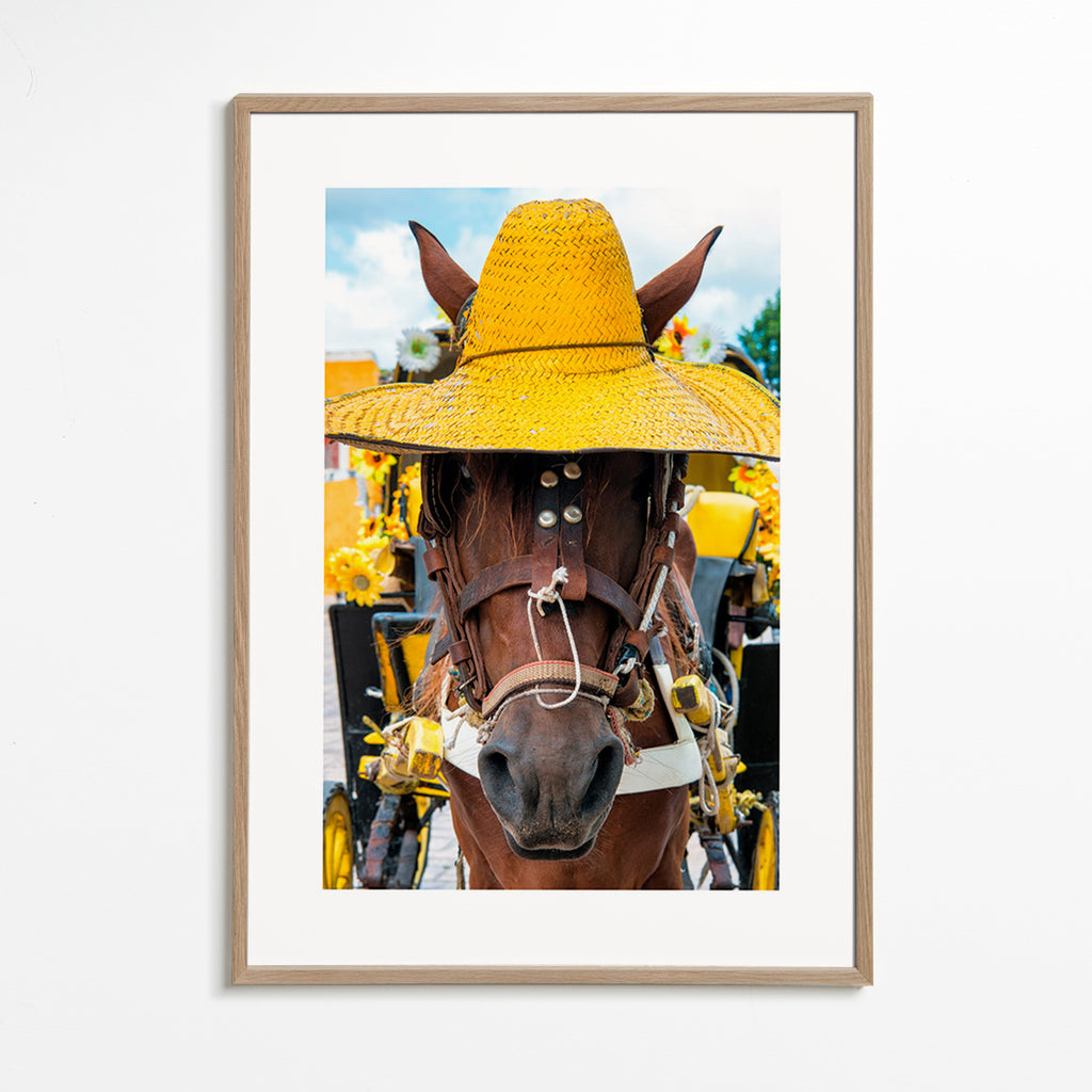 Paardportret met gele hoed – Oak Frame