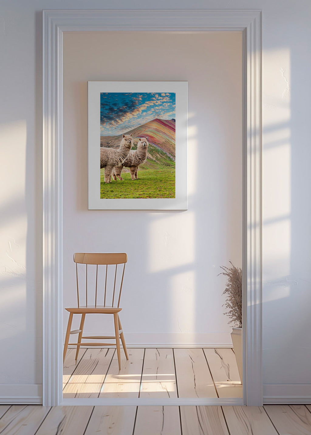 Artwork alpacas bij regenboogberg – Canvas