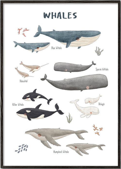 Artwork Walvissen: speelse illustratieposter
