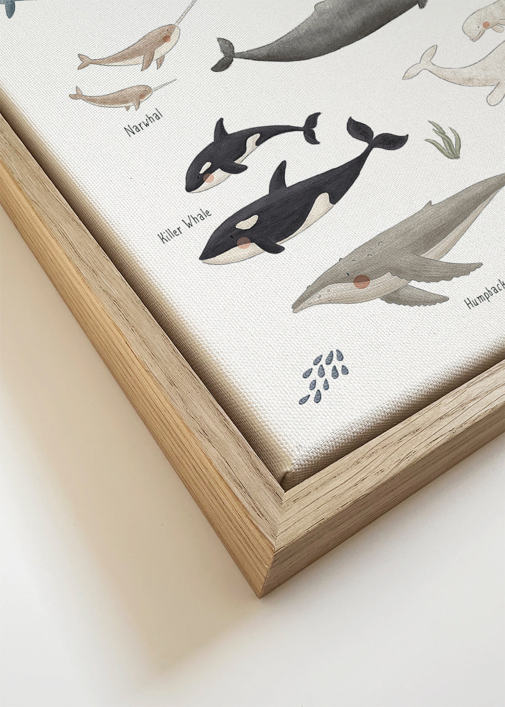 Artwork Walvissen: speelse illustratieposter