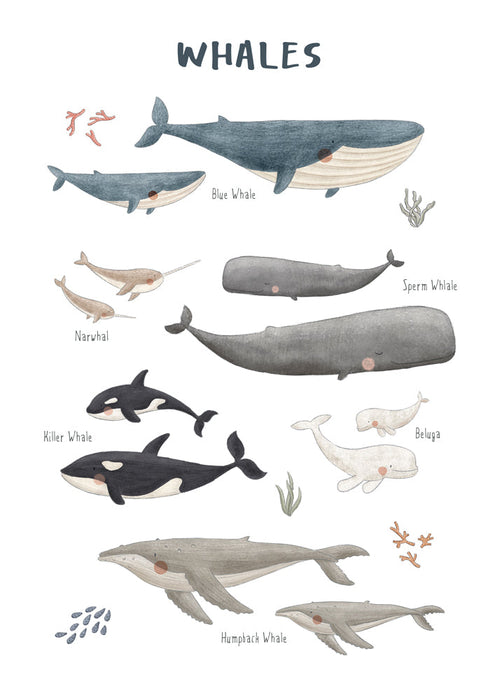 Artwork Walvissen: speelse illustratieposter