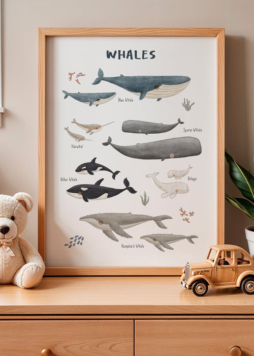 Artwork Walvissen: speelse illustratieposter