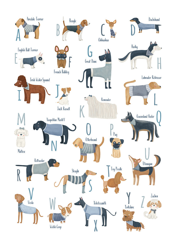 Kinderposter: alfabet met honden in blauw