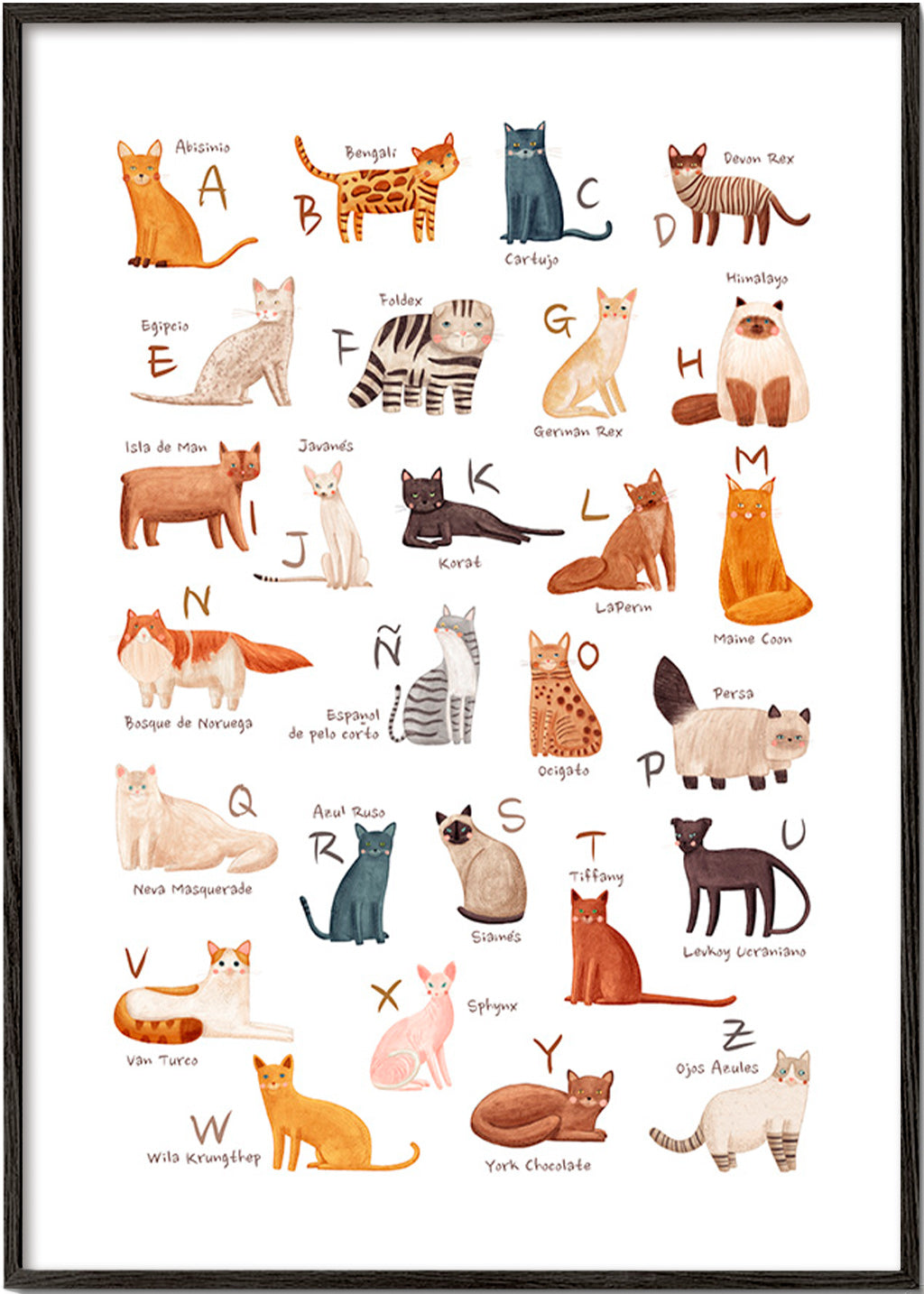 Kinderposter Geïllustreerd kattenalfabet